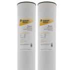 Pentek Eisenfilterkartusche RFFE20-BB Doppelpack für Big Blue Eisenfilter