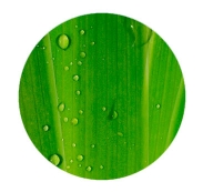 Besser für die Umwelt Besser für die Umwelt