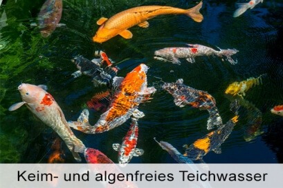 Aquarien und Fischzucht benötigt reines Wasser