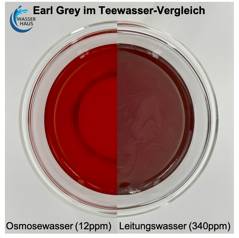 Earl Grey im Teewasser-Vergleich Earl Grey im Teewasser-Vergleich
