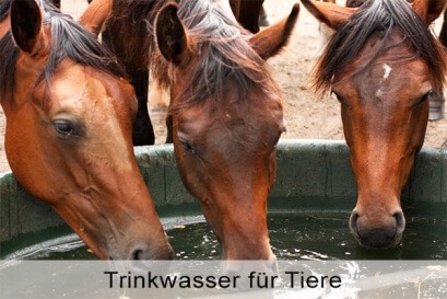 Sauberes Wasser für die Tierhaltung in der Landwirtschaft