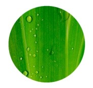 Bequemer geht's nicht