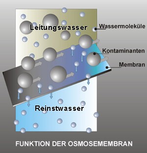 Funktion der Osmosemembran